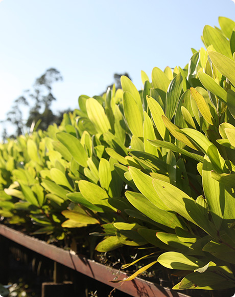 402永利集团(中国区)有限公司-官方网站