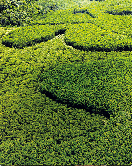 402永利集团(中国区)有限公司-官方网站