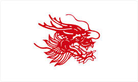 APP中国纸浆品牌：龙